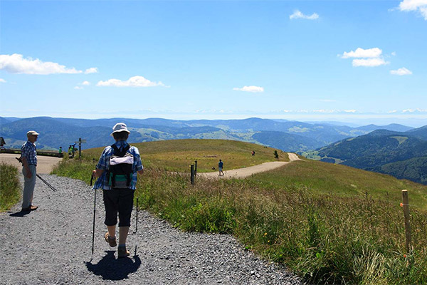 Wanderung auf dem Belchen (1414m)