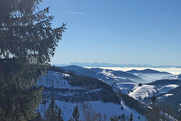 Herrliche Winterlandschaft mit Alpenblick